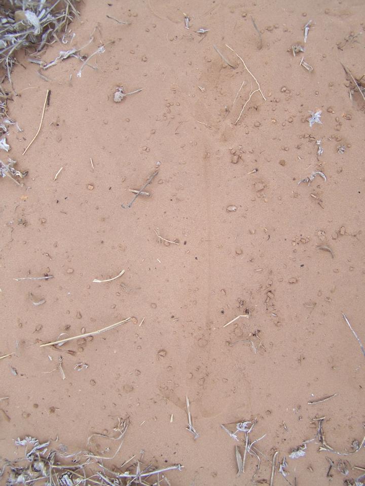 FIGURE 9 FIGURE 9
